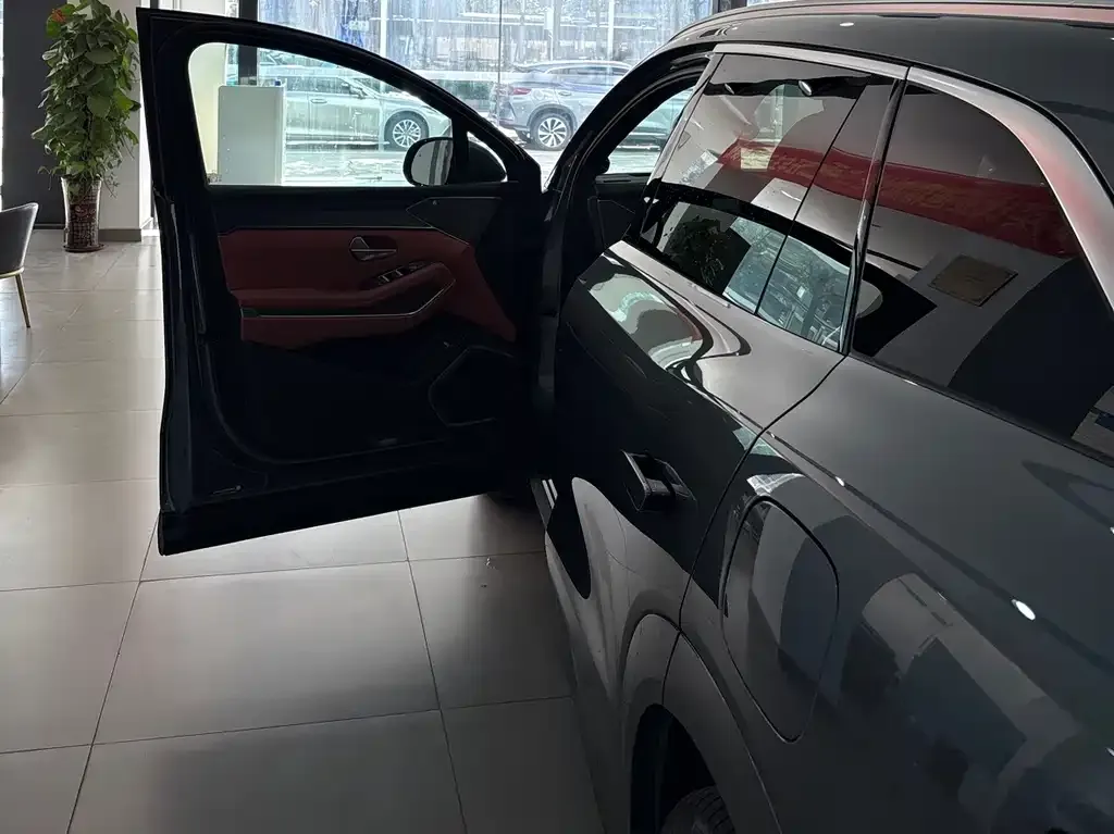 BYD Tang L 2025 из CN, фото 2