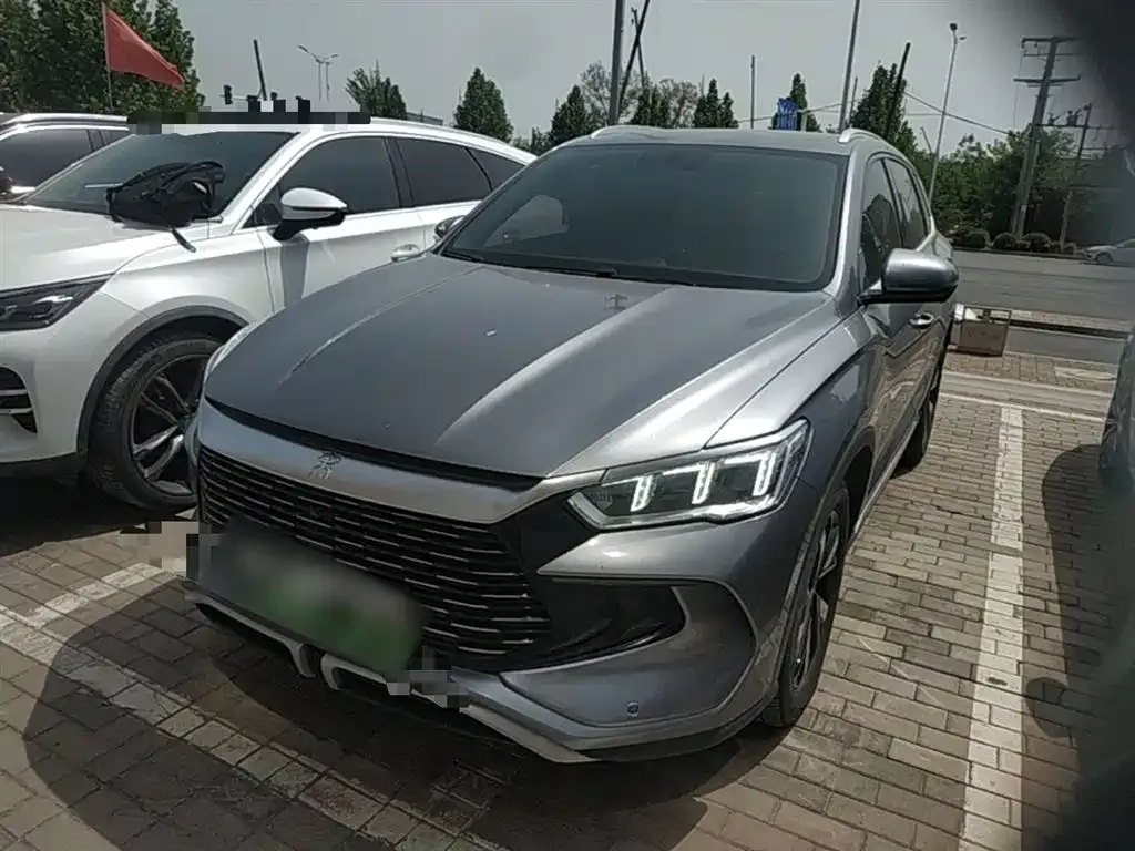 BYD Pro New Energy