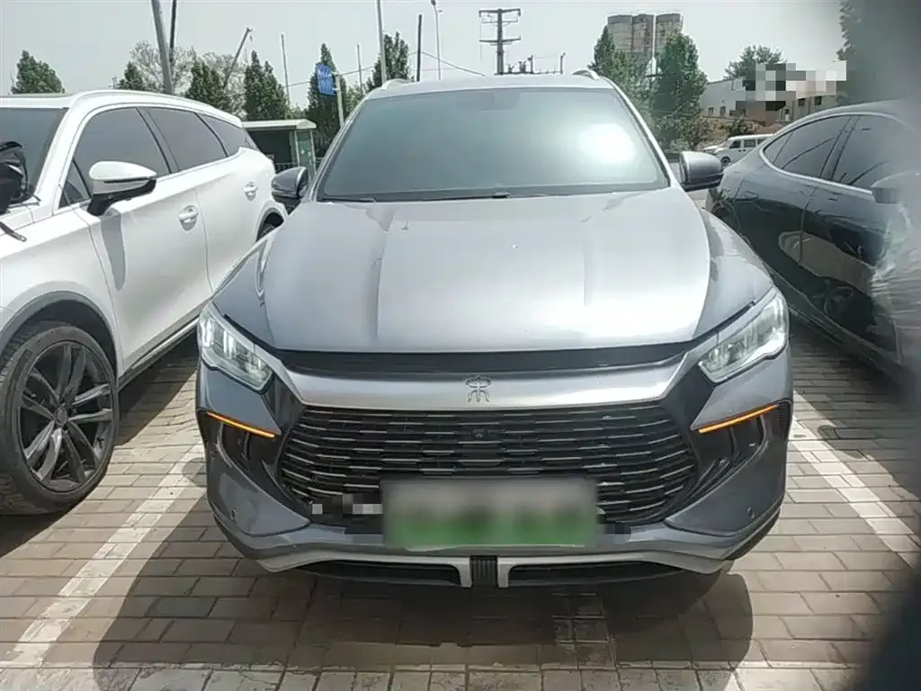 BYD Pro New Energy 2024 из CN, фото 4