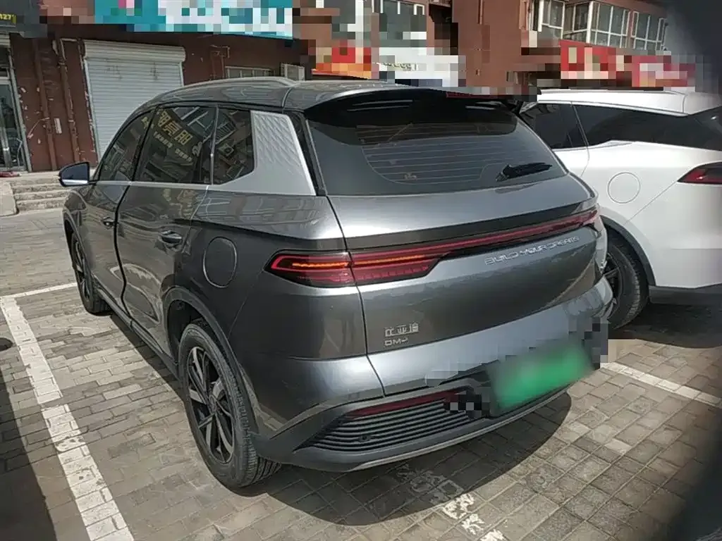 BYD Pro New Energy 2024 из CN, фото 9
