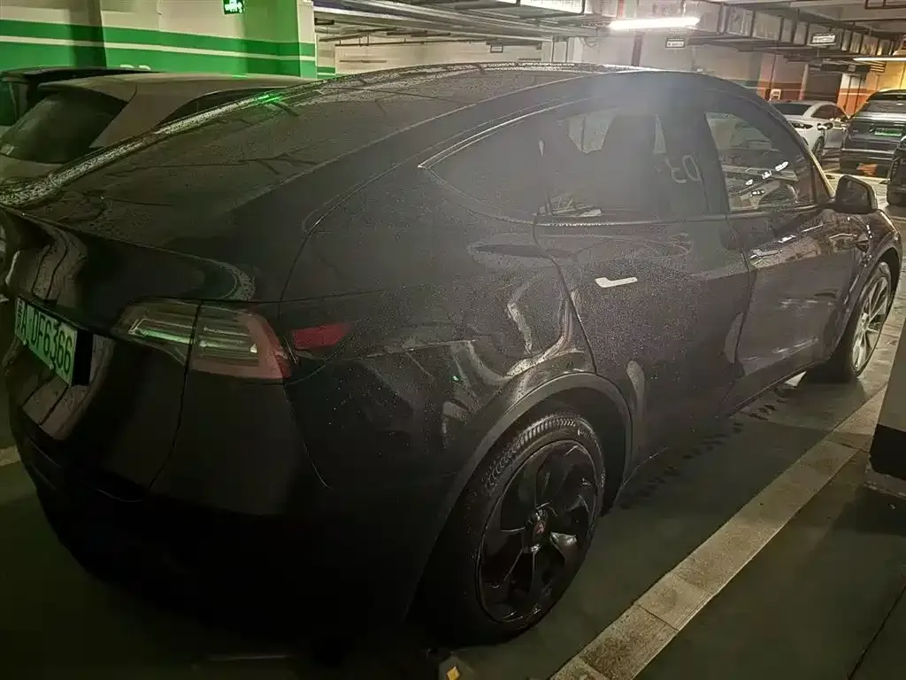 Tesla Model Y — фото 2