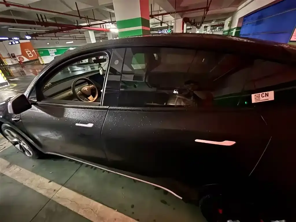 Tesla Model Y — фото 3