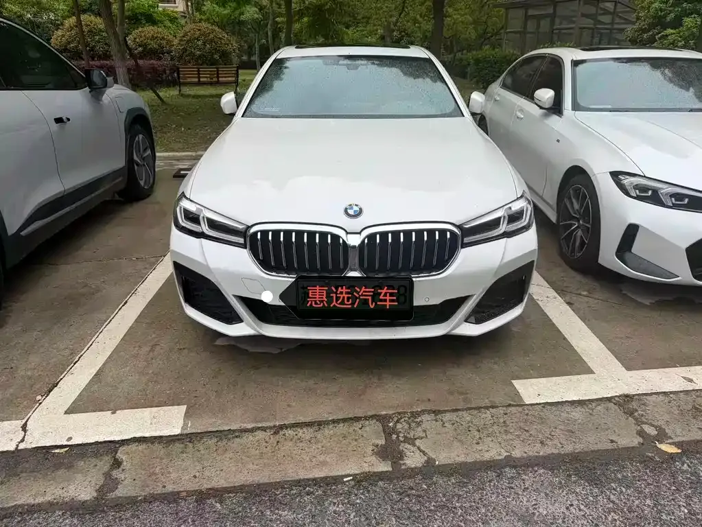 BMW 5 Series New Energy 2021 из CN, фото 6