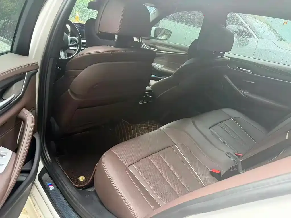 BMW 5 Series New Energy 2021 из CN, фото 2