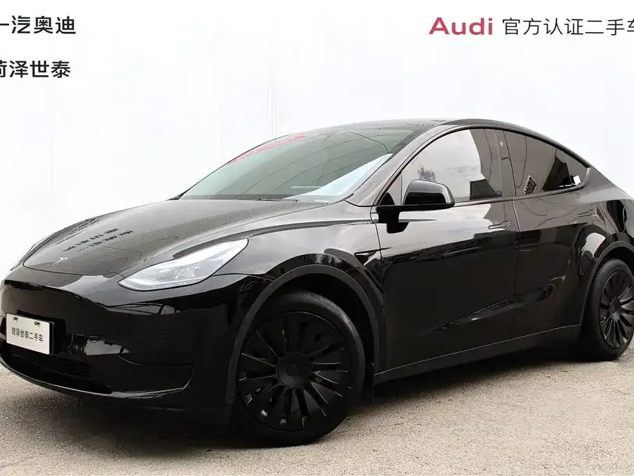Tesla Model Y — фото 1