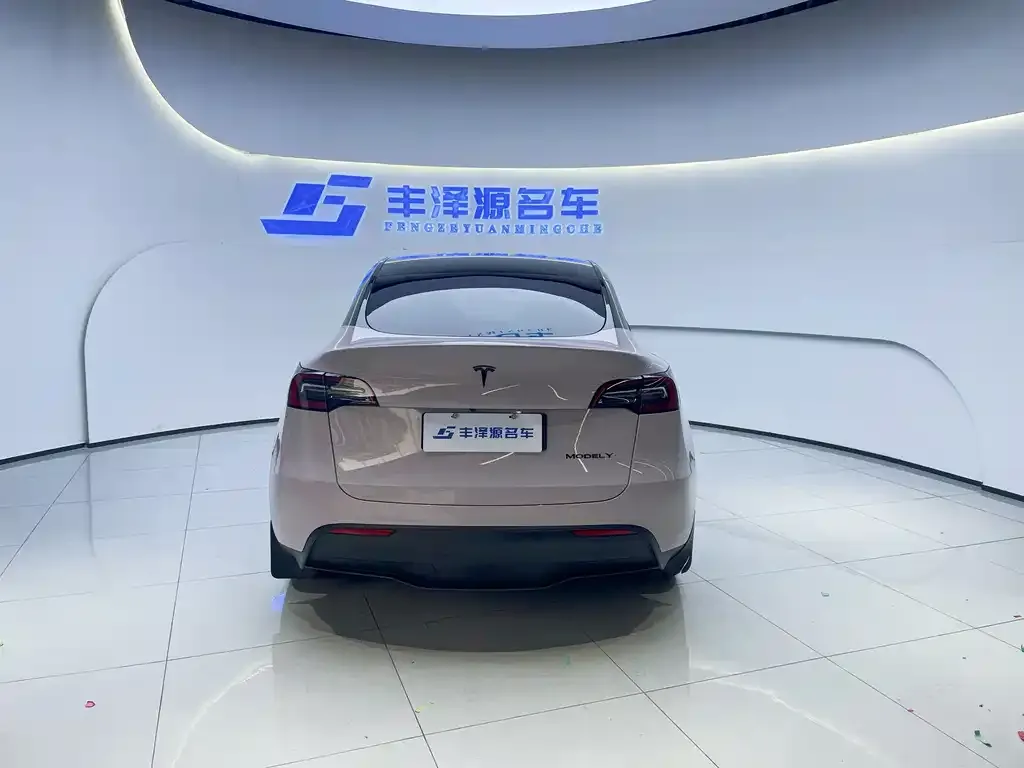 Tesla Model Y — фото 6