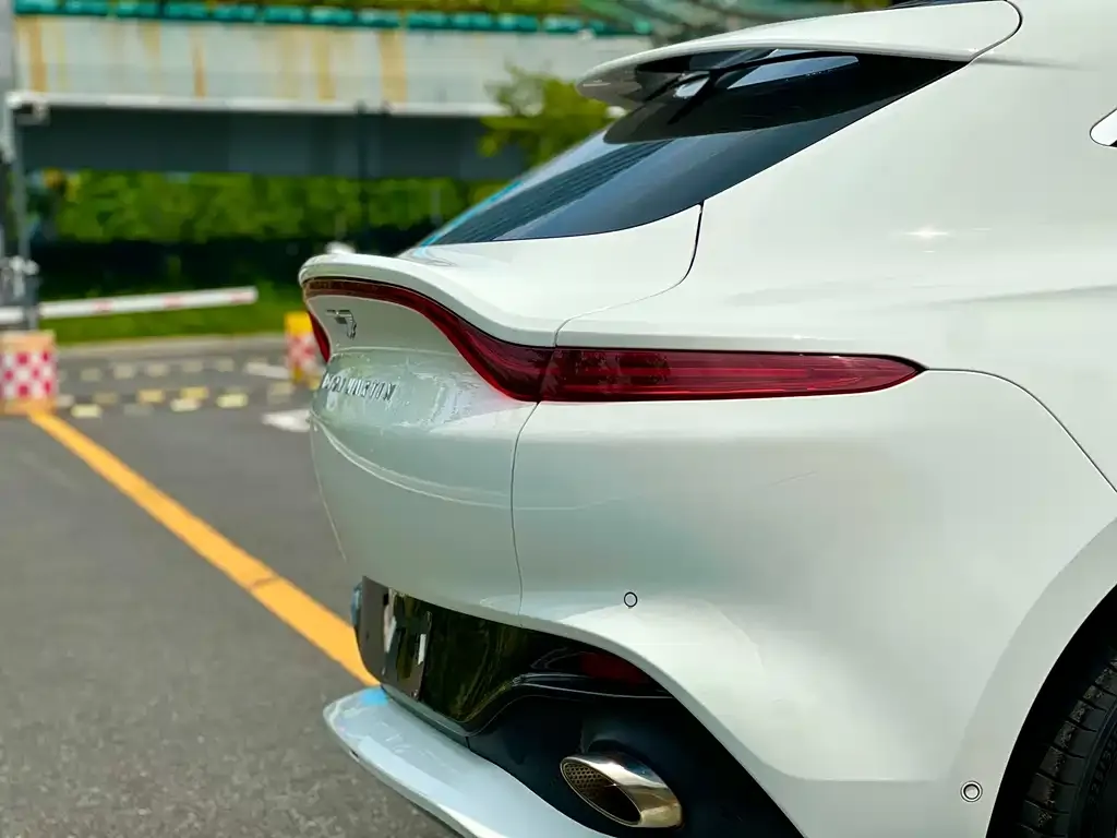 Aston Martin DBX 2022 из CN, фото 2