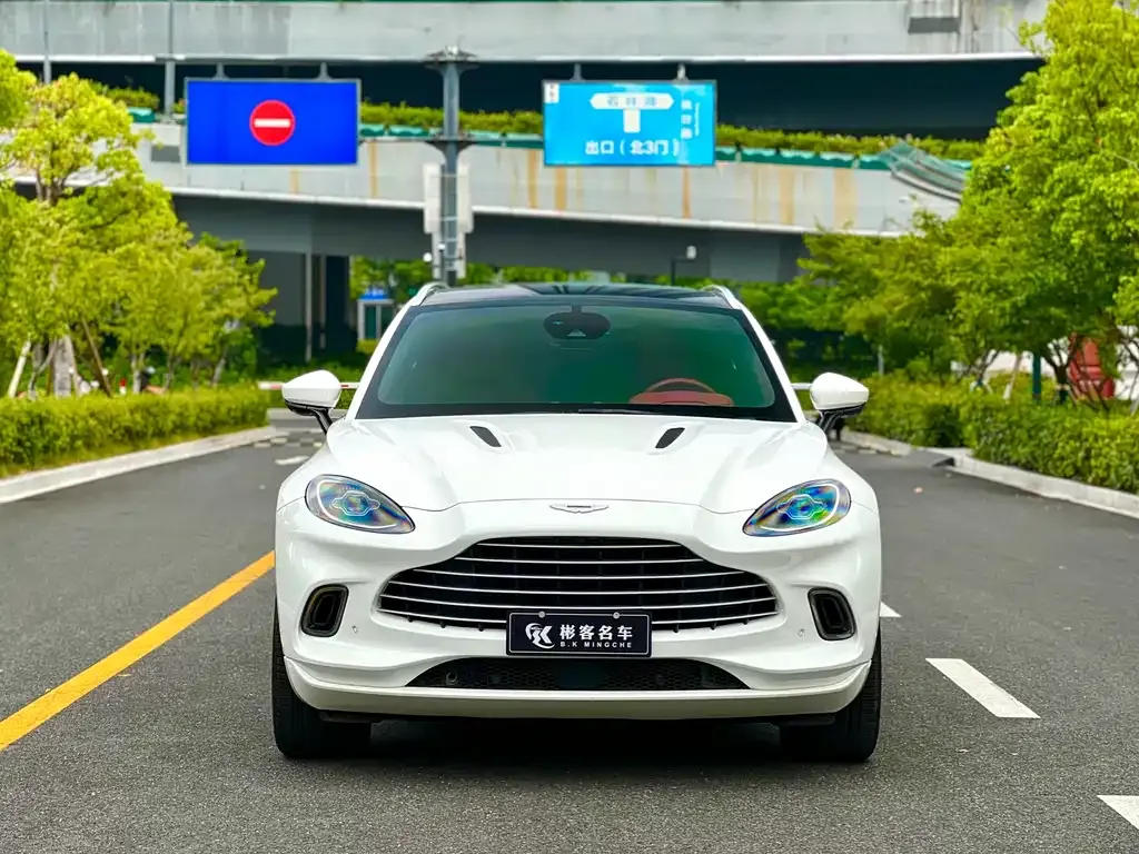 Aston Martin DBX 2022 из CN, фото 6