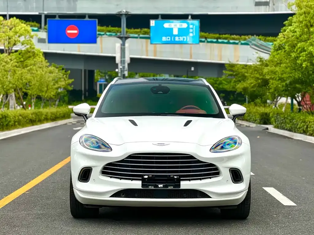 Aston Martin DBX 2022 из CN, фото 3