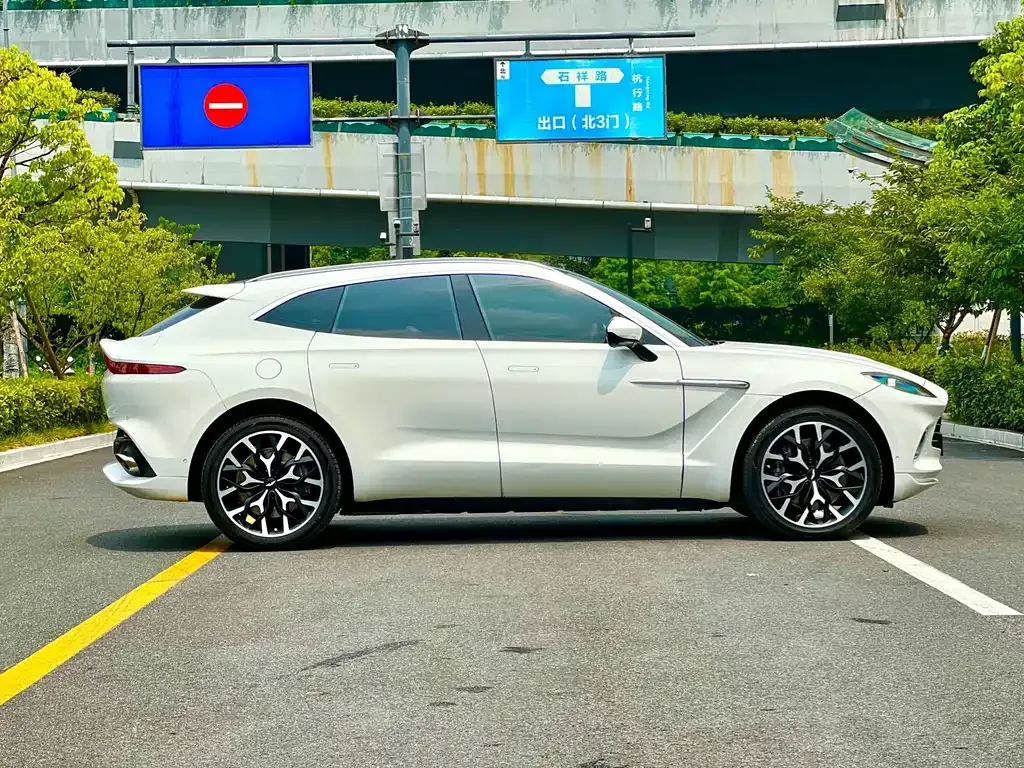 Aston Martin DBX 2022 из CN, фото 9