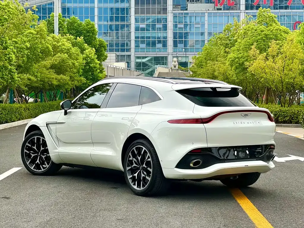 Aston Martin DBX 2022 из CN, фото 7