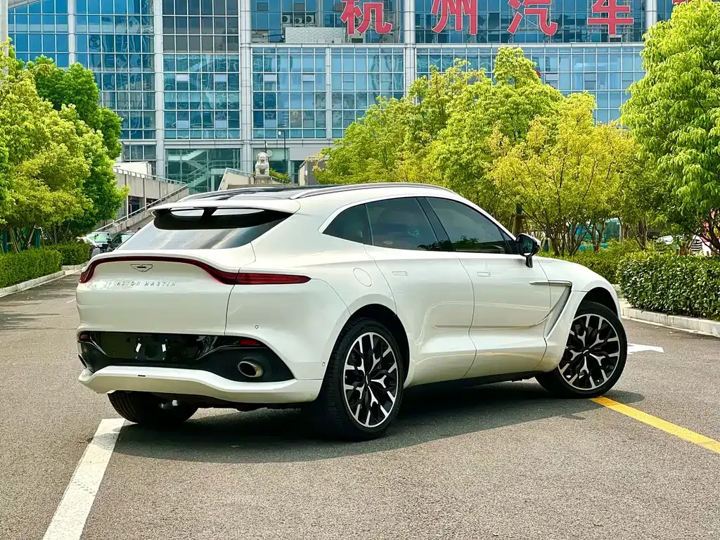 Aston Martin DBX 2022 из CN, фото 8