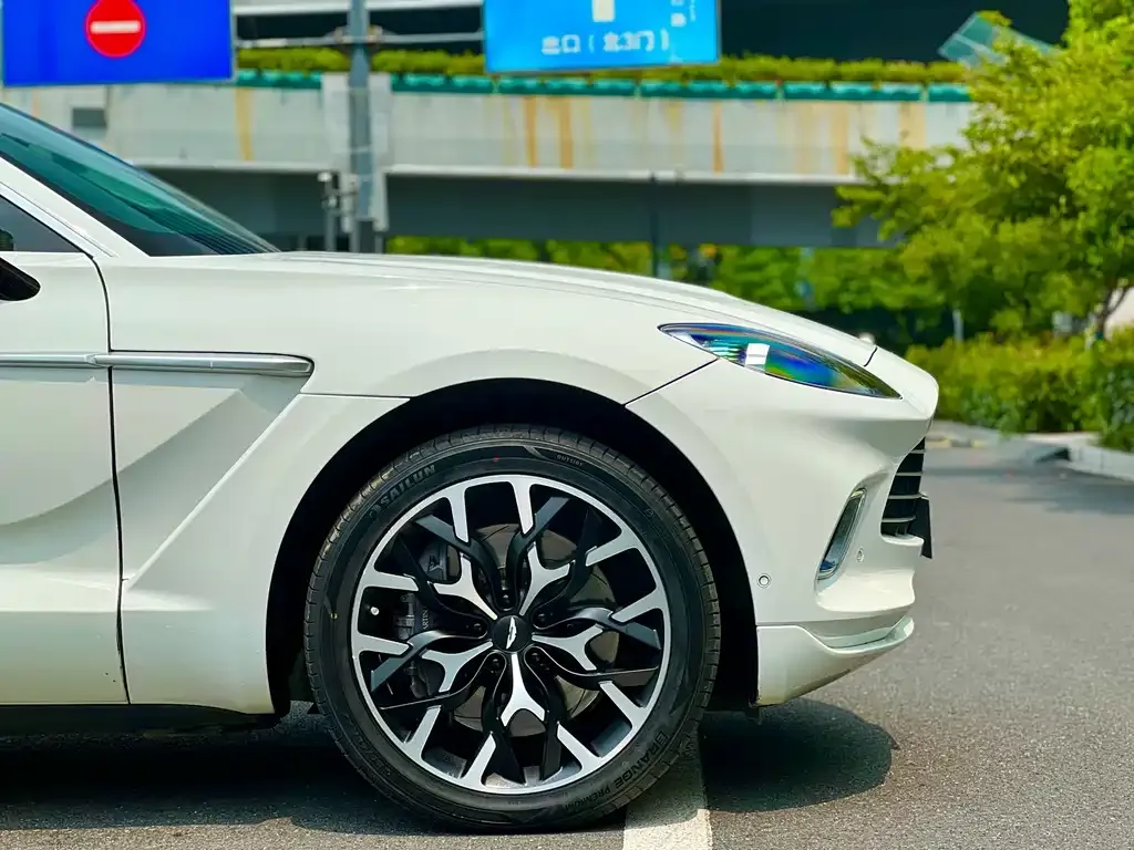 Aston Martin DBX 2022 из CN, фото 4