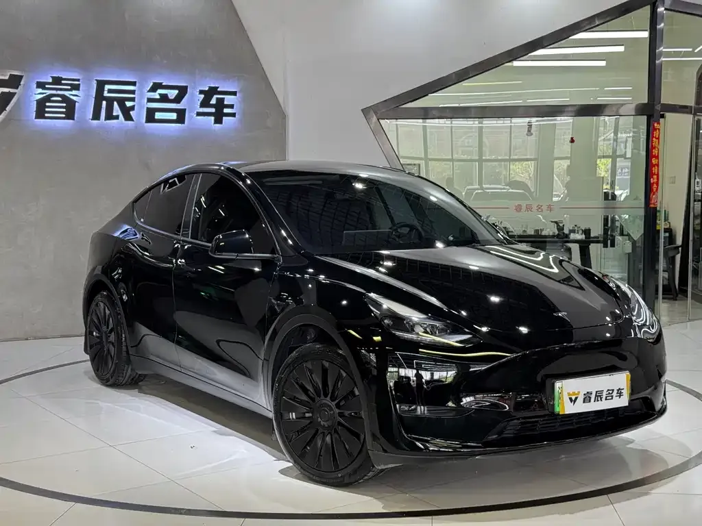 Tesla Model Y — фото 1