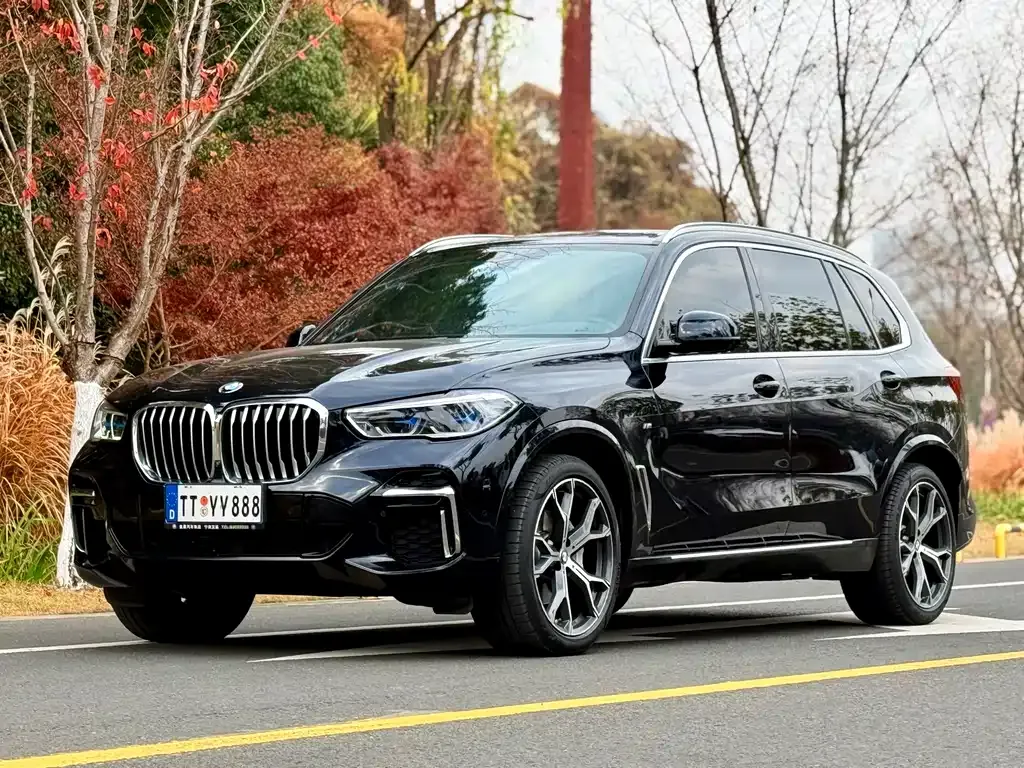 BMW X5 — фото 1