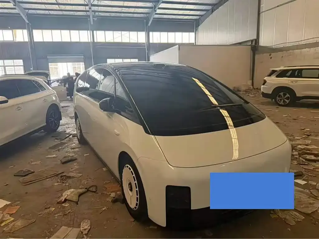 Li Auto MEGA 2025 из CN, фото 1