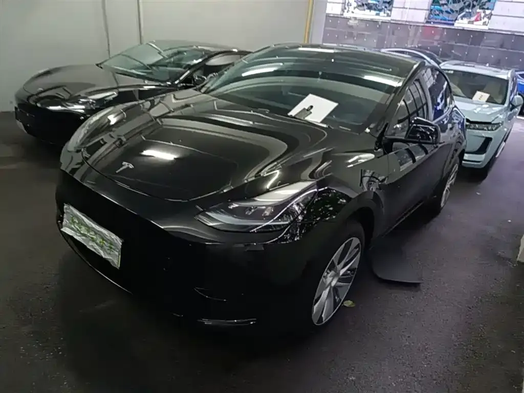Tesla Model Y — фото 10