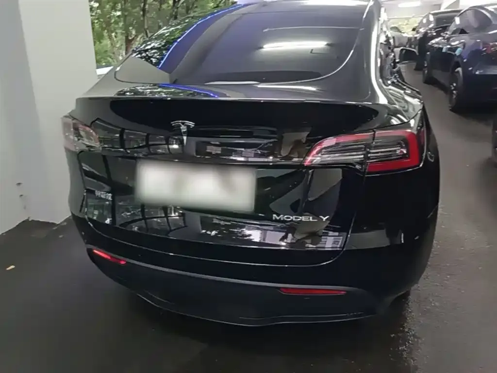 Tesla Model Y — фото 2