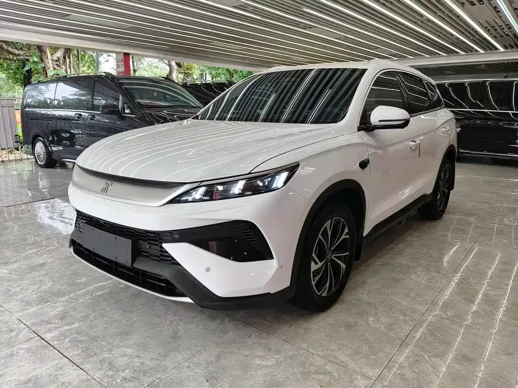 BYD Pro New Energy