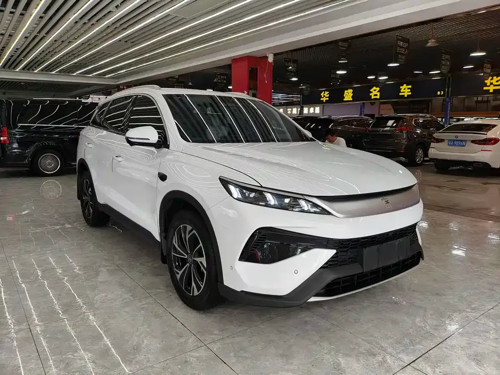 BYD Pro New Energy 2025 из CN, фото 10