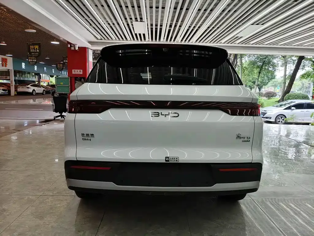 BYD Pro New Energy 2025 из CN, фото 7