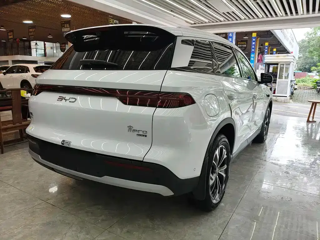BYD Pro New Energy 2025 из CN, фото 2
