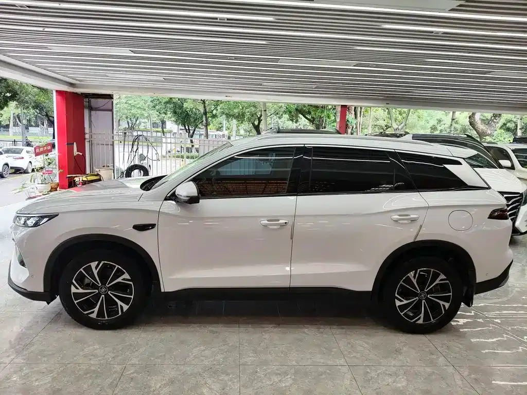 BYD Pro New Energy 2025 из CN, фото 9