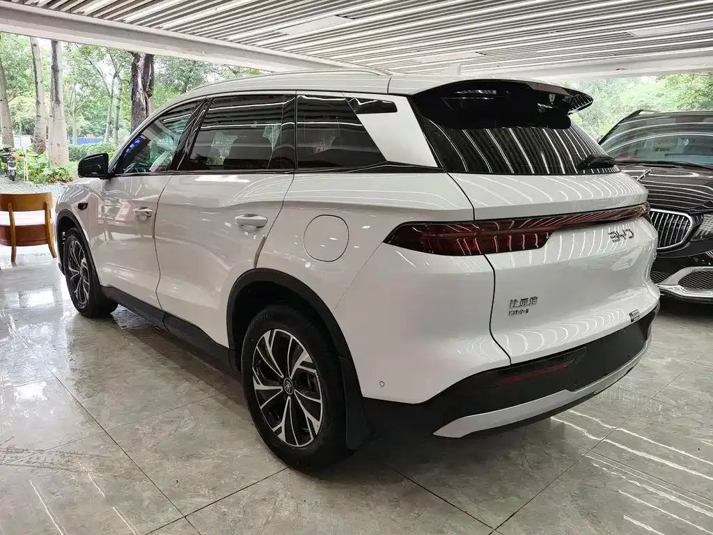 BYD Pro New Energy 2025 из CN, фото 8