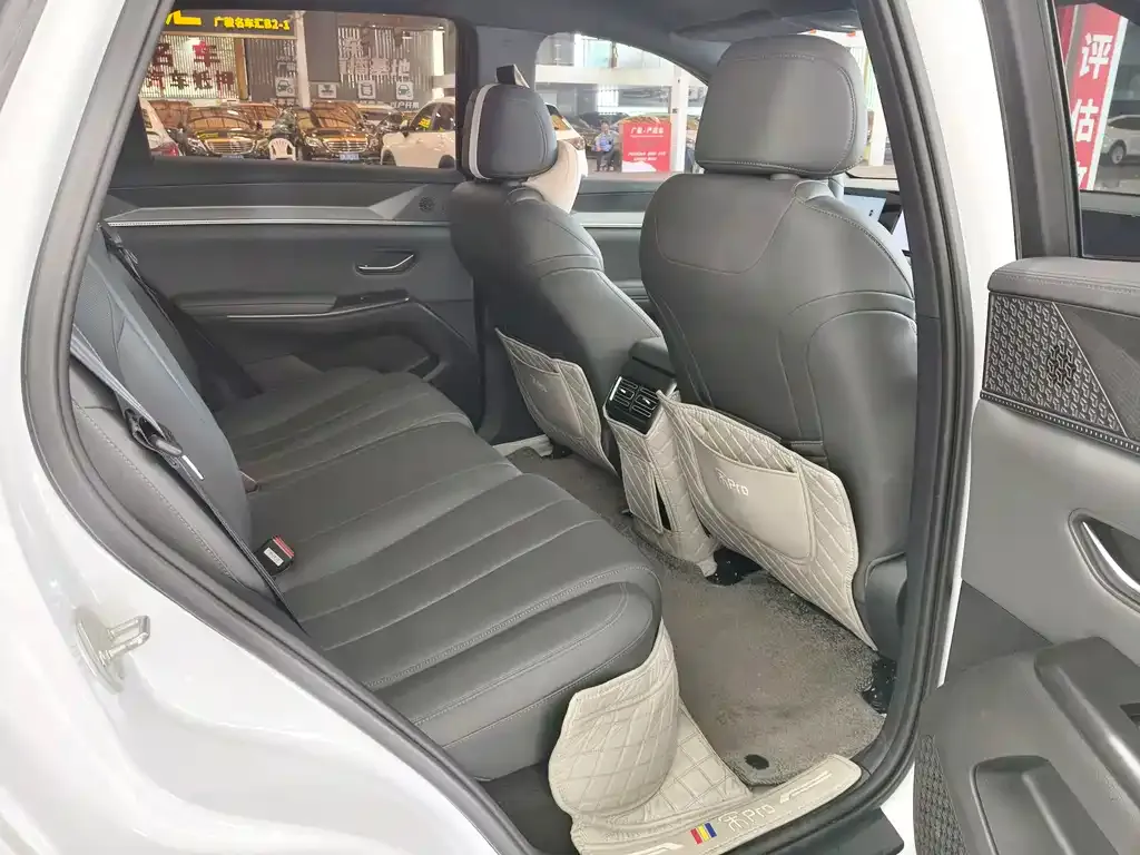 BYD Pro New Energy 2025 из CN, фото 3