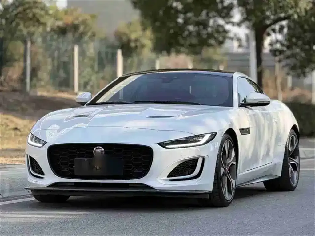 Jaguar F-TYPE 2021 из CN, фото 8