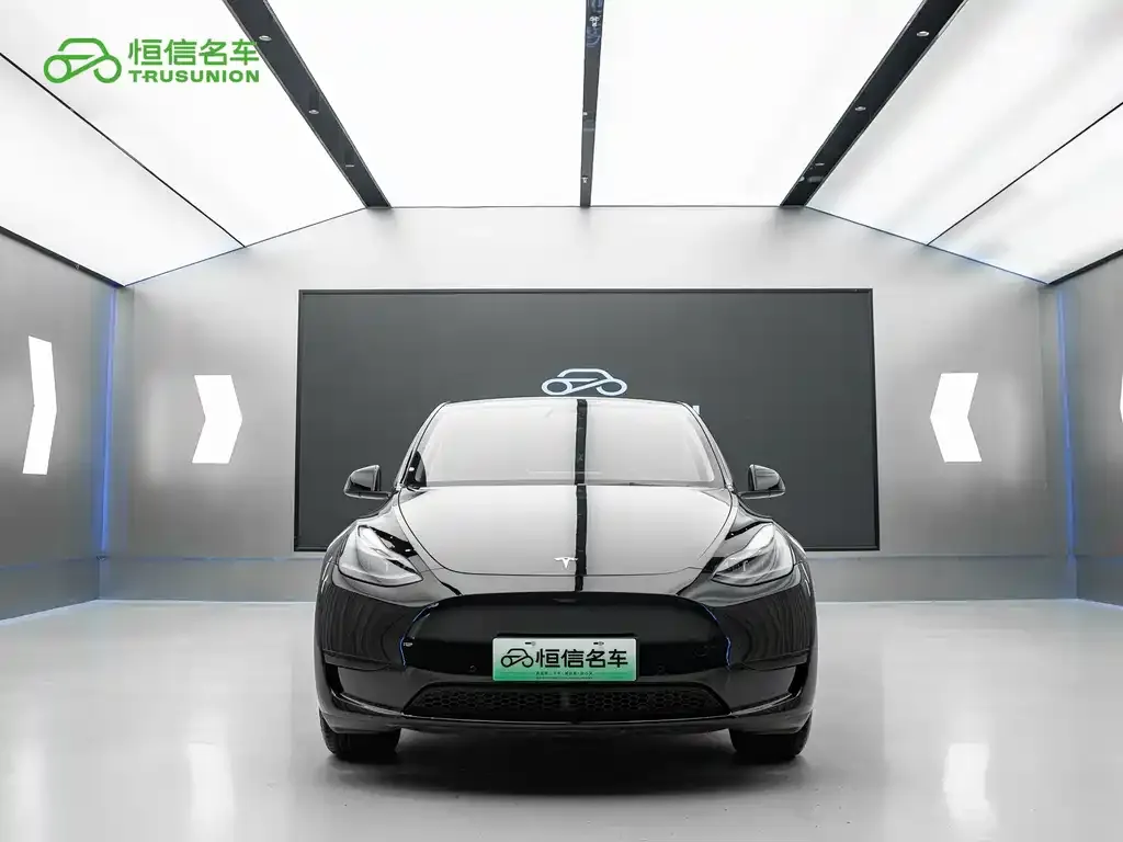 Tesla Model Y — фото 10