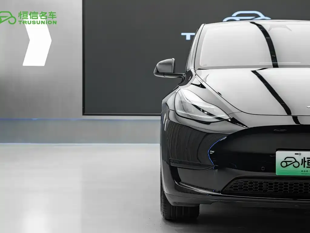 Tesla Model Y — фото 2