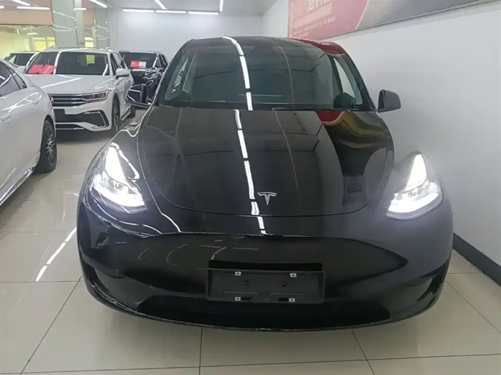 Tesla Model Y — фото 8