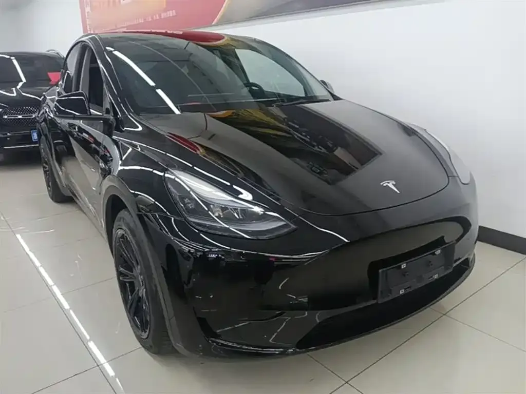 Tesla Model Y — фото 10