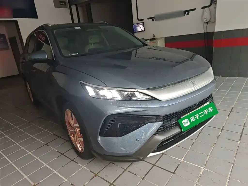 BYD Pro New Energy — фото 3