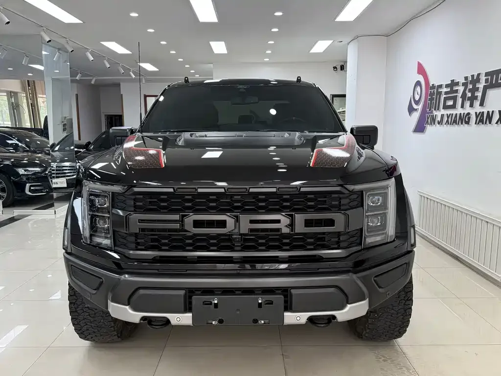 Ford F-150 Raptor — фото 6