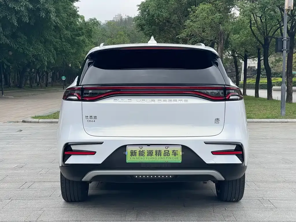 BYD Tang New Energy 2023 из CN, фото 5