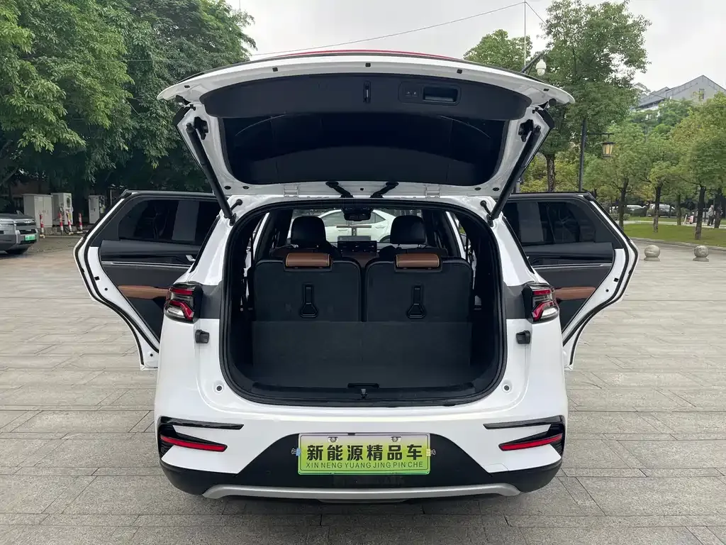 BYD Tang New Energy 2023 из CN, фото 9