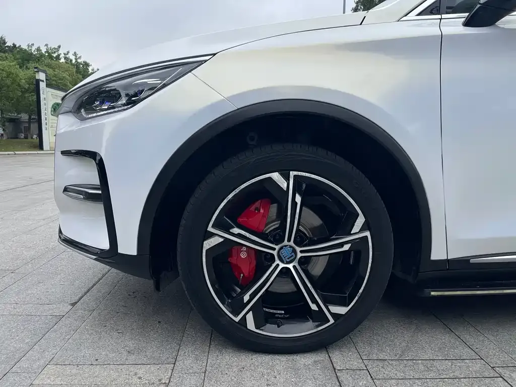 BYD Tang New Energy 2023 из CN, фото 3