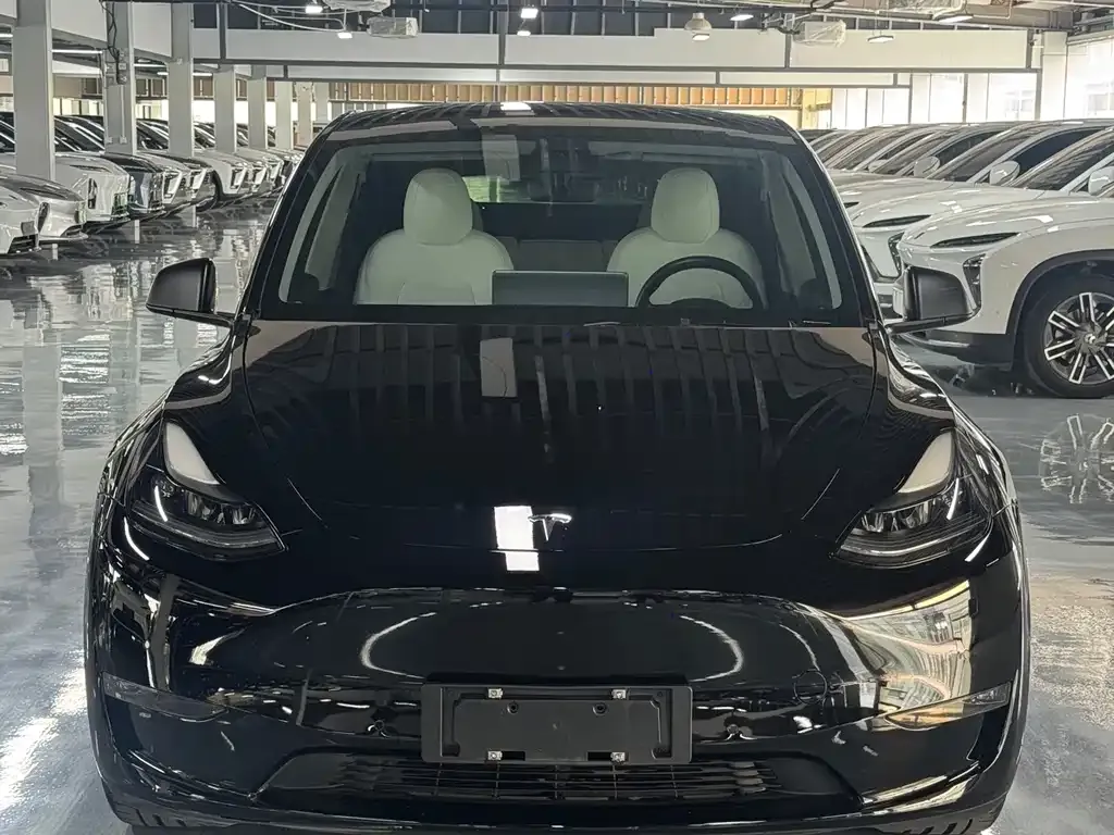 Tesla Model Y — фото 7