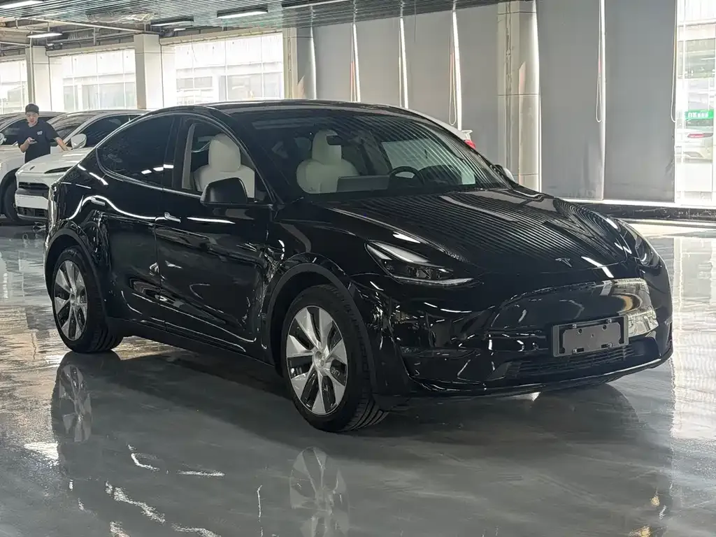 Tesla Model Y — фото 2