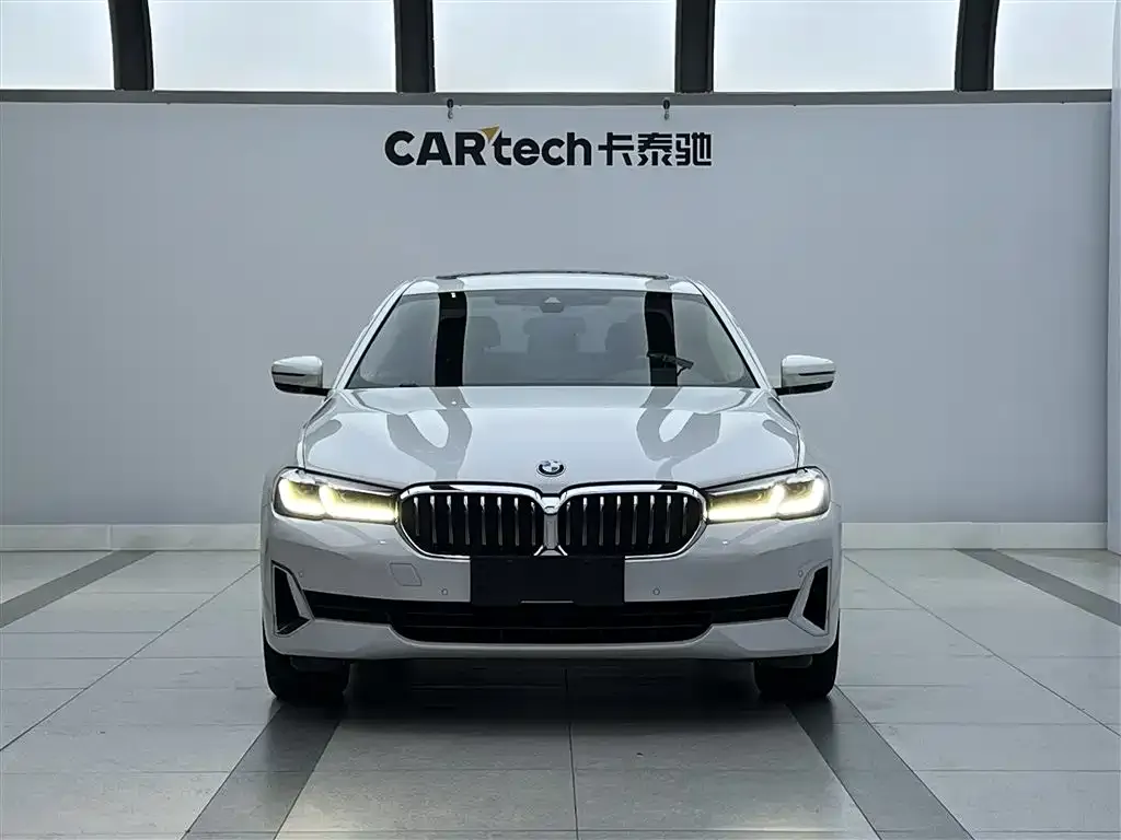 BMW 5 Series 2021 из CN, фото 4