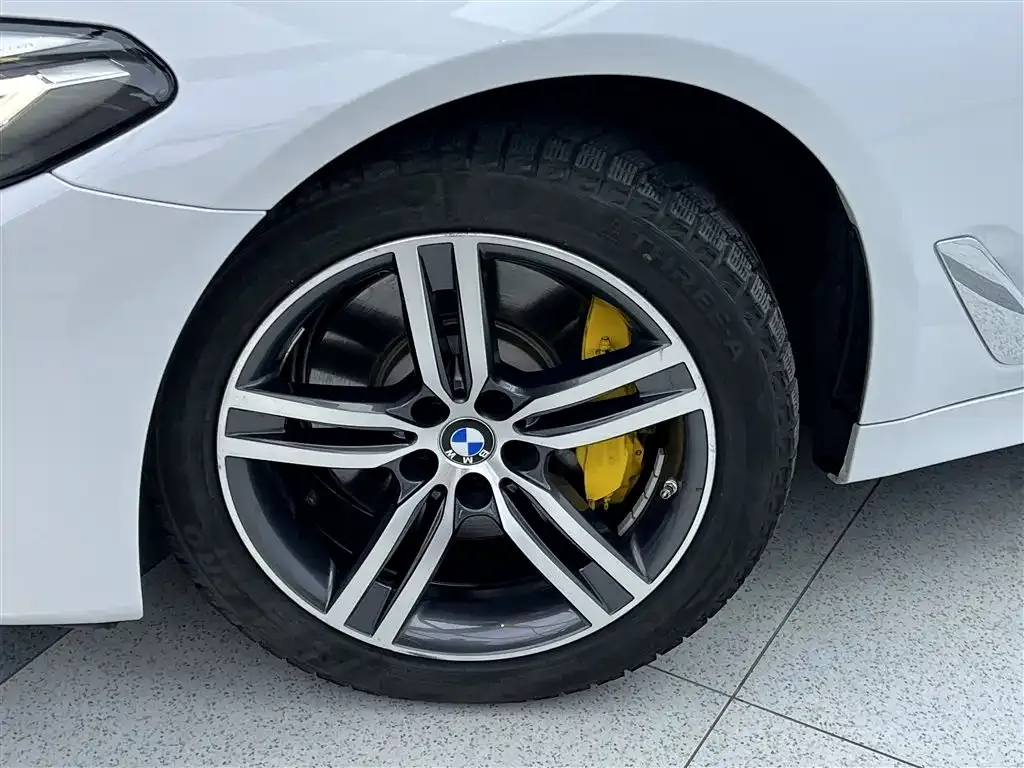 BMW 5 Series 2021 из CN, фото 7