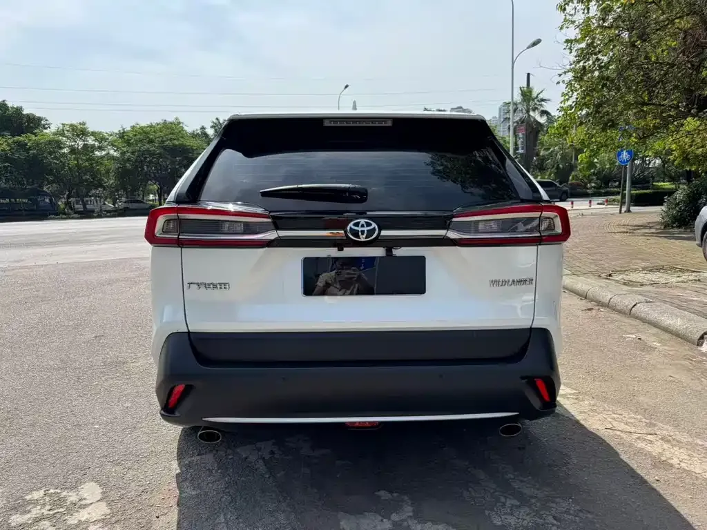 Toyota Wildlander 2021 из CN, фото 8