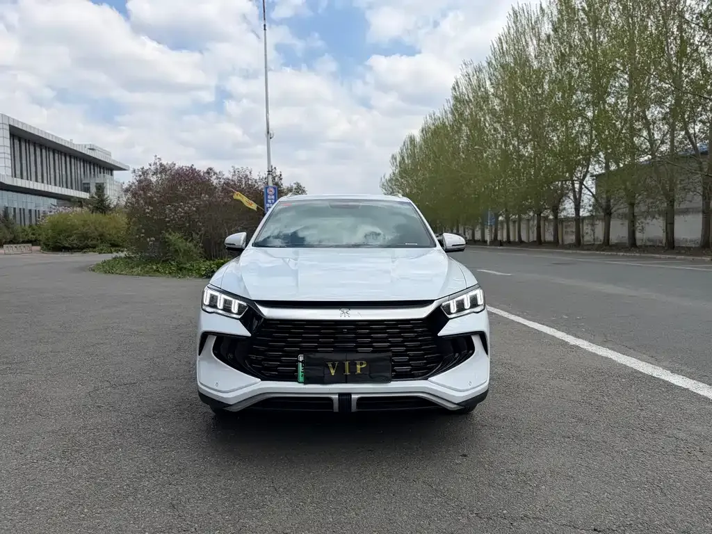 BYD Pro New Energy 2024 из CN, фото 8