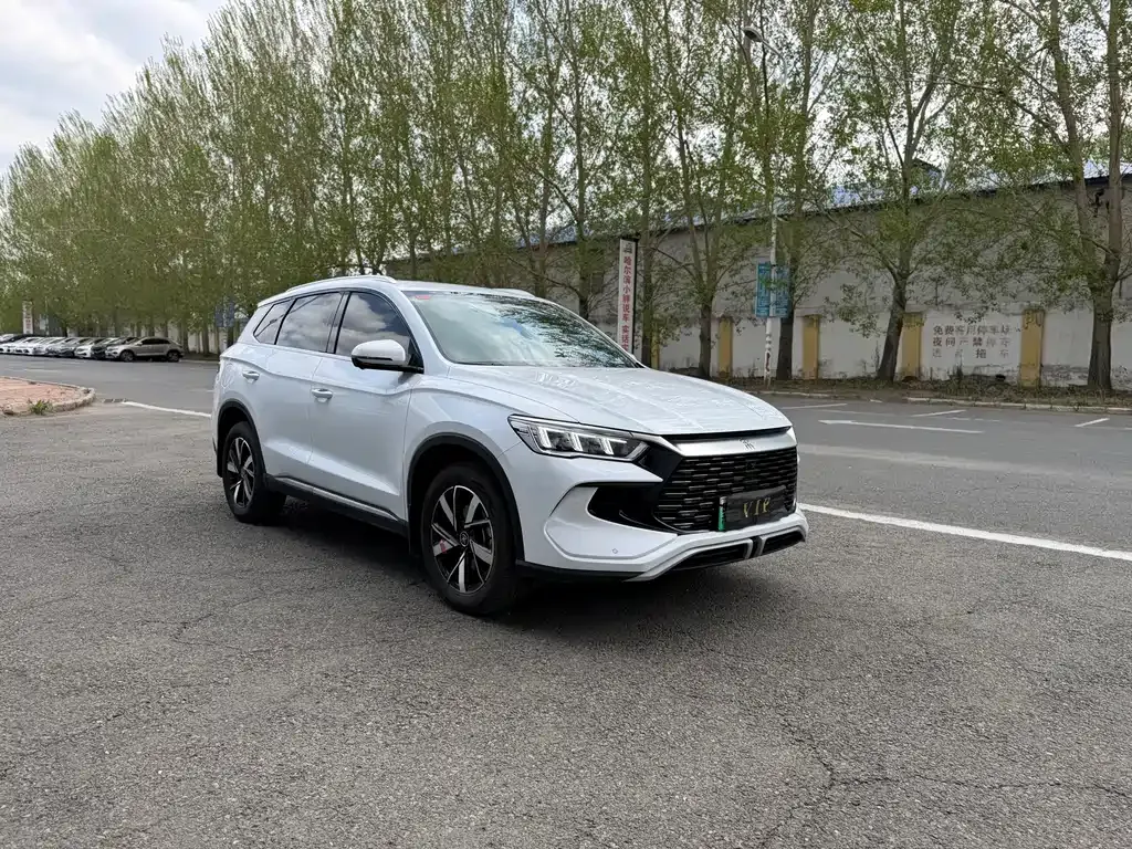 BYD Pro New Energy 2024 из CN, фото 6