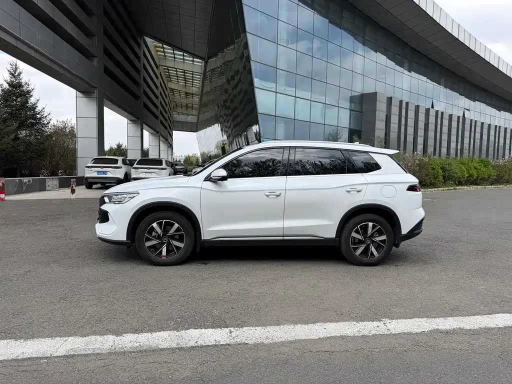 BYD Pro New Energy 2024 из CN, фото 3