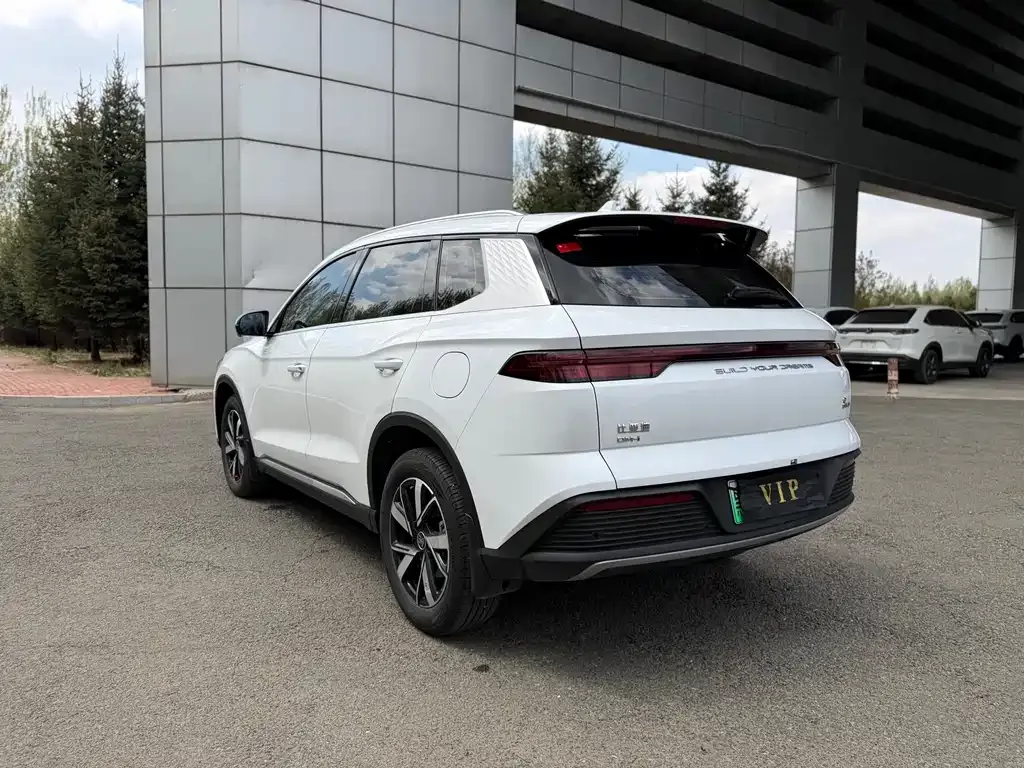 BYD Pro New Energy 2024 из CN, фото 9