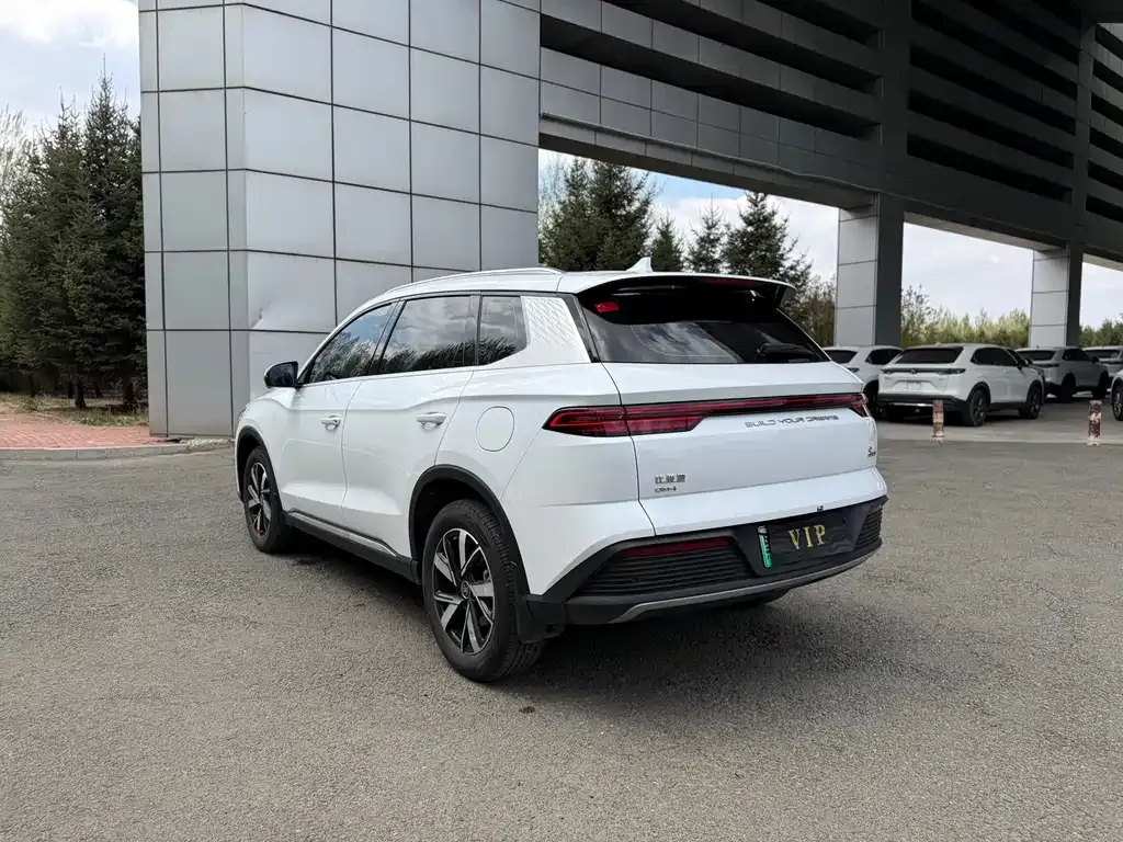 BYD Pro New Energy 2024 из CN, фото 7