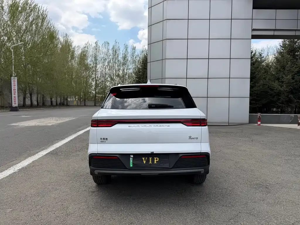 BYD Pro New Energy 2024 из CN, фото 2